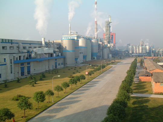 Plant view -upload.jpg